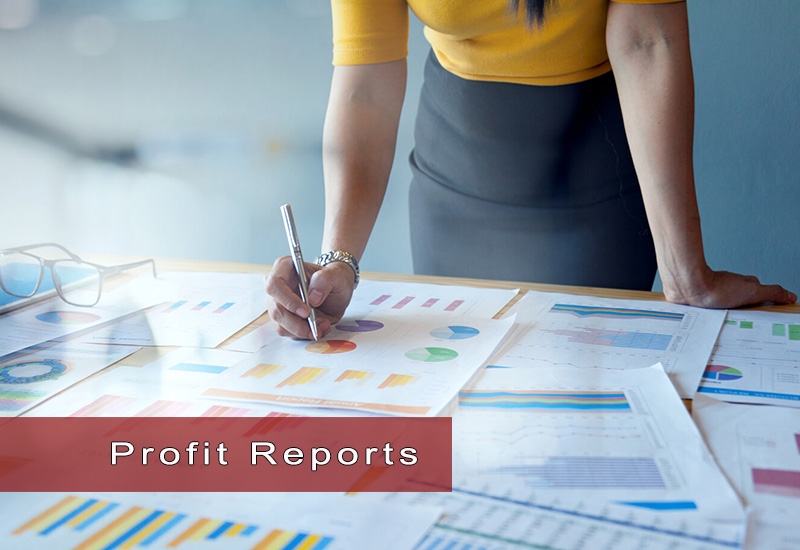 Preparation of short, medium and long term earnings Analysis and Reports of your investments.