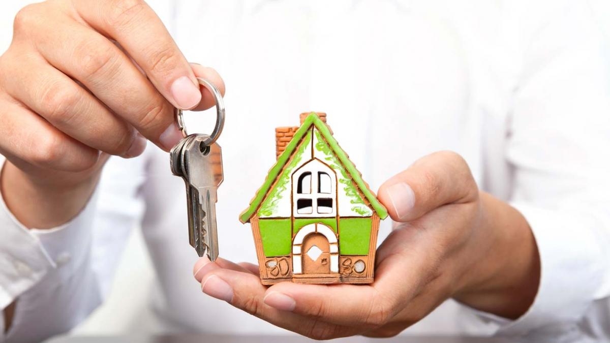 Deed Sales Transactions at Notary Public